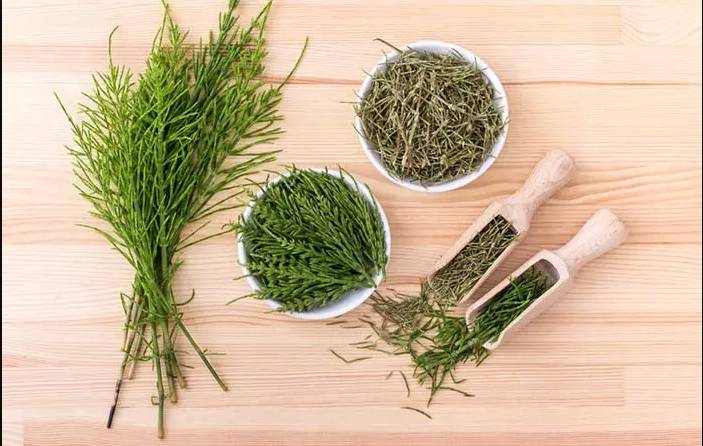 Anti-Aging Herbs